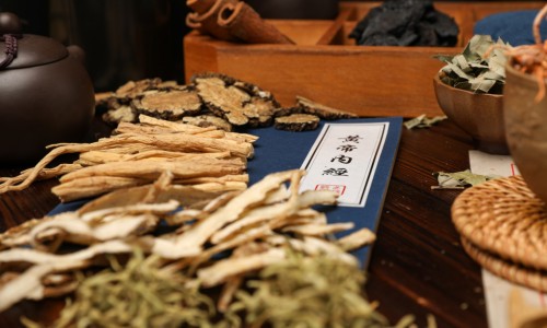 山东中药专科学校-山东中药穴位贴价格-专业中药穴位贴敷疗法平台-山东中药膏药第一名